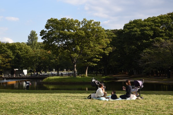 Yoyogi Park | In the luggage - Tokyo travel guide book